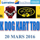 Les courses du week-end des 19 et 20 mars 2016