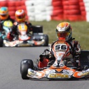 Belgian Asaf à Ostricourt: Les résultats