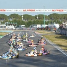 WSK OK-Junior: Antonelli vainqueur, Amand animateur