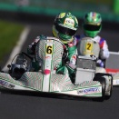 Travisanutto officialisé chez Tony Kart, tout comme… Hiltbrand !