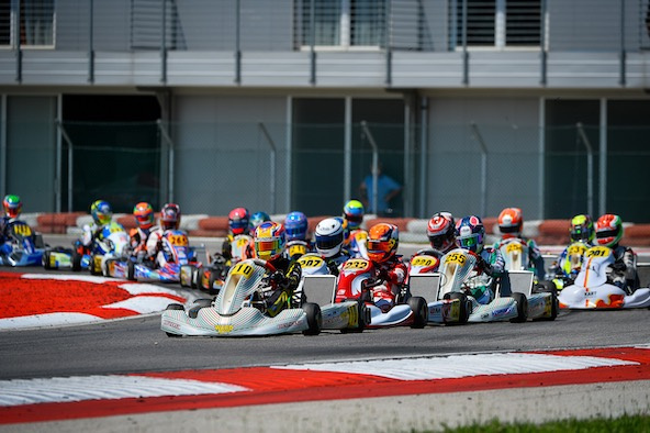 WSK OK: Deux Tony Kart-Vortex peuvent en cacher un autre !