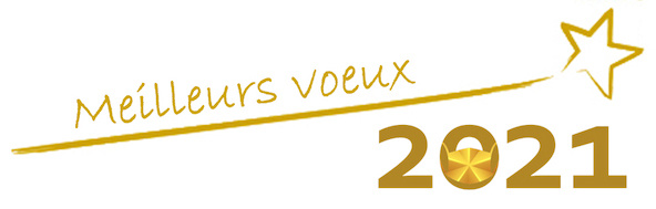 Bonne année 2021…