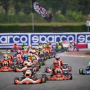 WSK Open Cup / Lonato: Emilien Denner impérial en KZ2